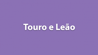 Touro e Leão