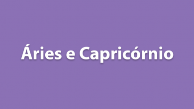Áries e Capricórnio